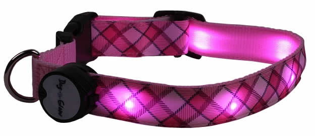 dog e-glow collars
