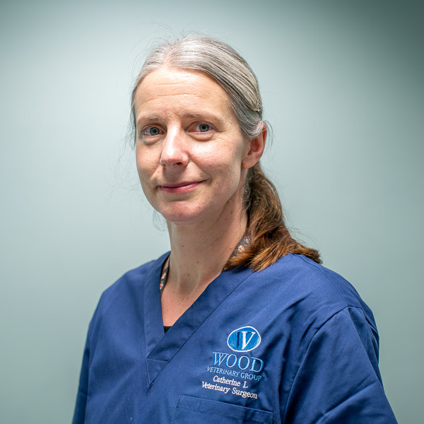Catherine Lindley - Wood (Web)