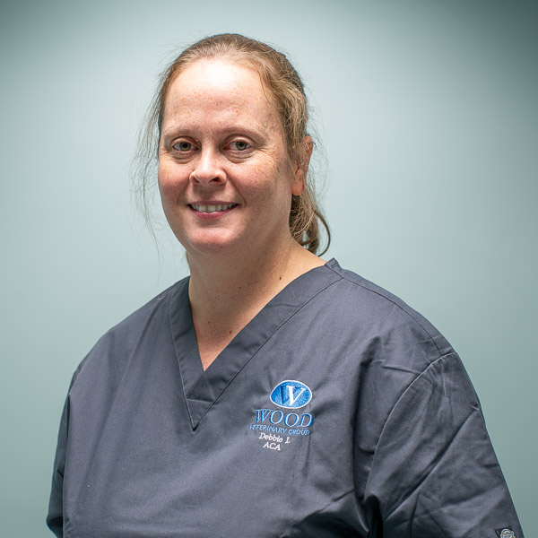 Debbie Lansley - Wood (Web)