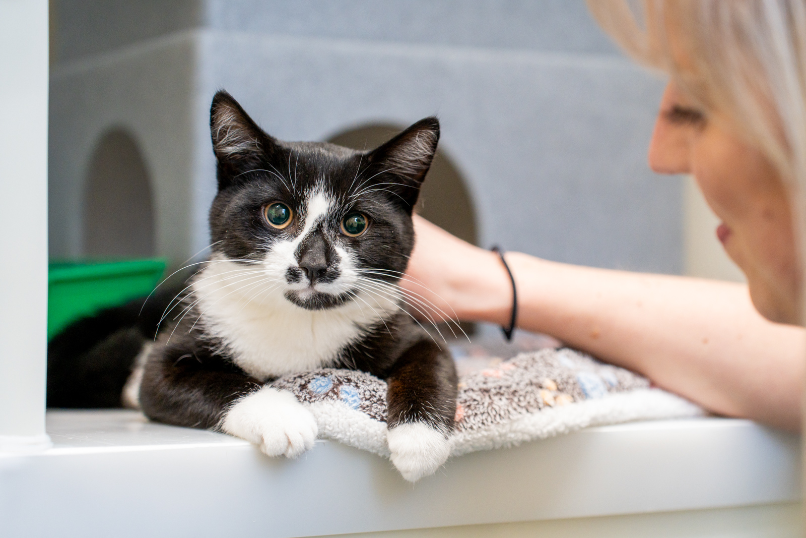 Heywood Veterinary Centre (Web) 115