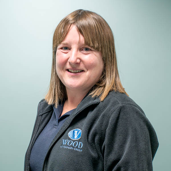 Julie Riley - Wood (Web)