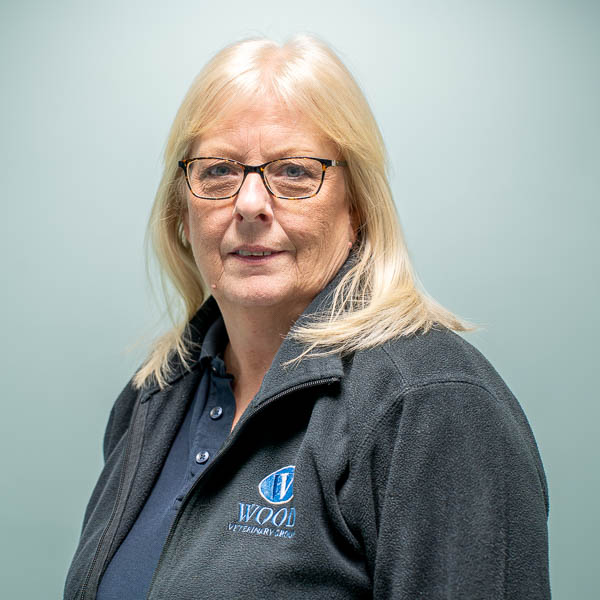 Sharon Thompson - Wood (Web)