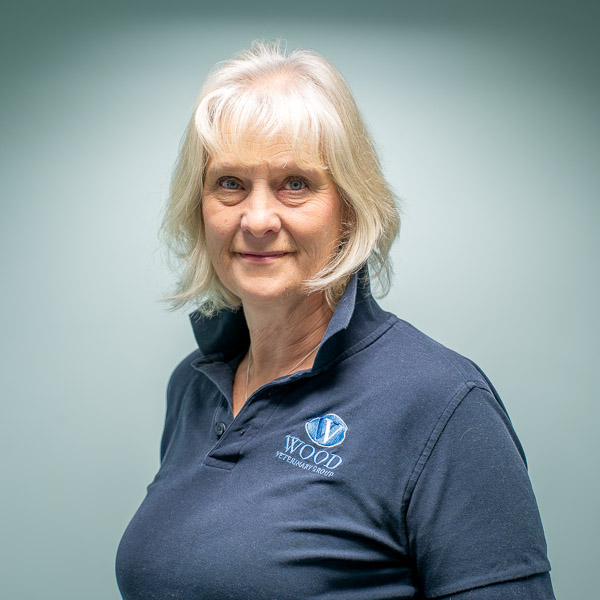 Wendy Watts - Wood (Web)