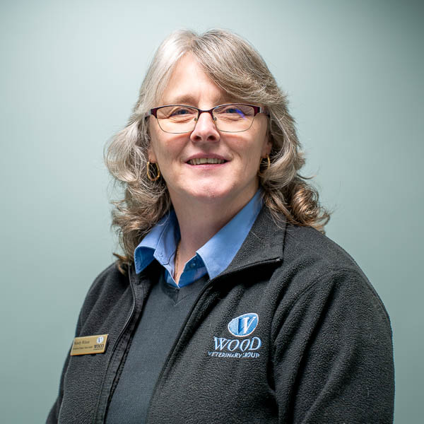 Wendy Wilson - Wood (Web)
